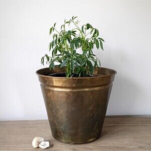 Vintage Solid Brass Bucket Planter Large Plant Holder Pot Rustic Brass Trash Can